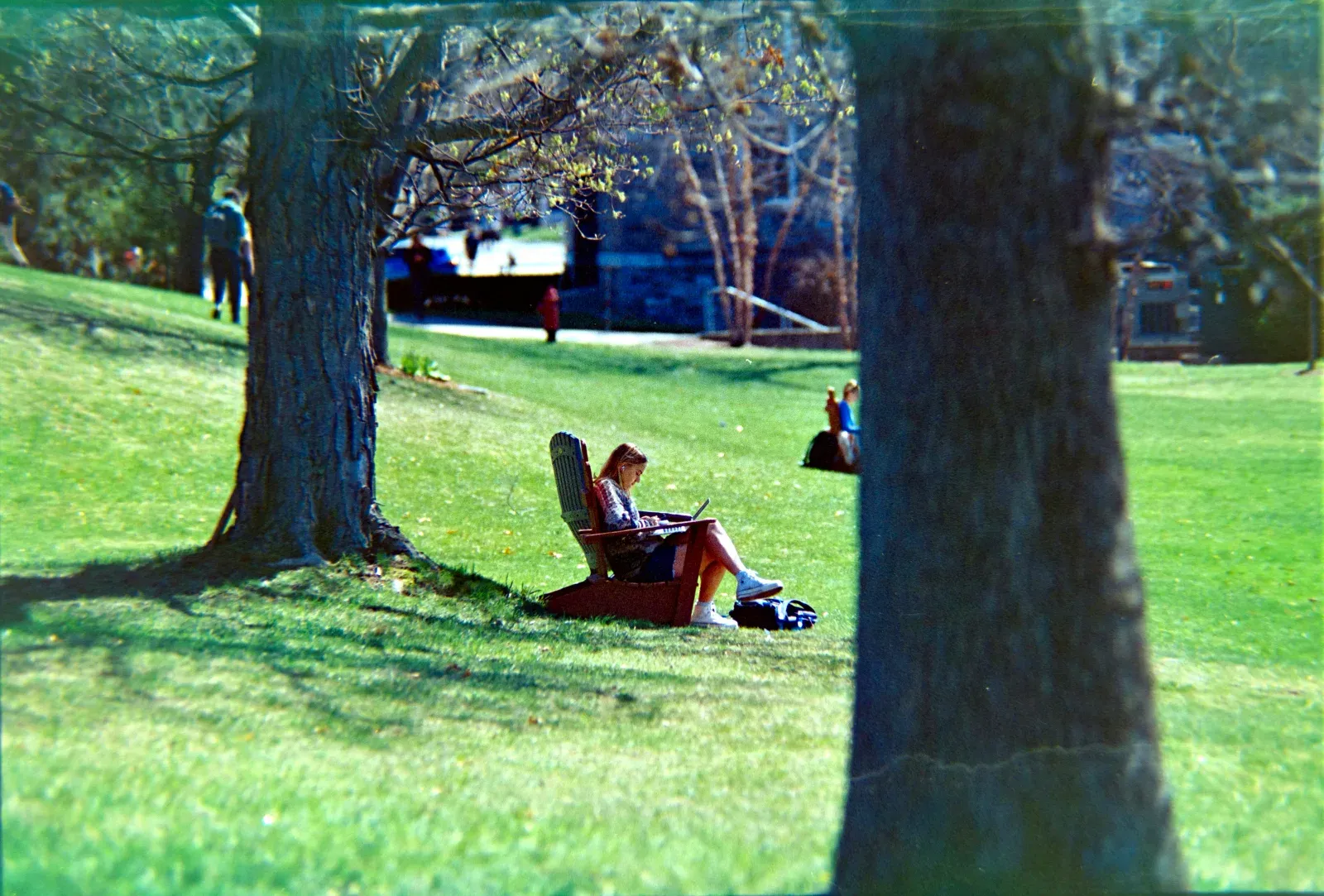 Une personne assise dans un fauteuil en bois sur une pelouse ensoleillée, au milieu d'un parc, en train de travailler sur un ordinateur portable entre de grands arbres.