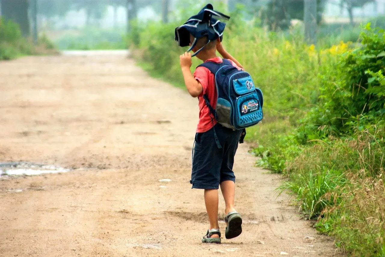 Un enfant portant un sac à dos s'éloigne sur un chemin de terre bordé de végétation, vu de dos.
